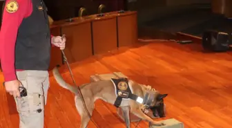 Uyuşturucuyla Mücadelede Köpek Gösterisi Öğrencileri Büyüledi