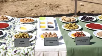9. Zeytin, Zeytinyağı ve Gastronomi Festivali Altınözü'nde Başladı