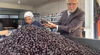 Türkiye'nin Sofralık Zeytin Üretiminde Marmarabirlik'in Rolü Artıyor