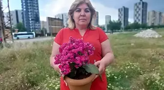 Kadınlar gününde kapısına gelen çiçek, servetine mal oldu