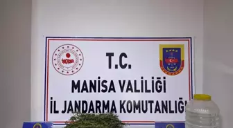 Manisa'da Uyuşturucu ve Kaçak Alkol Operasyonu