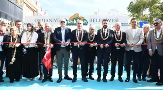 Osmaniye'de Yer Fıstığı Festivali Coşkuyla Başladı