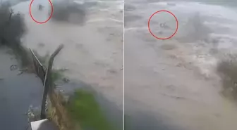 Sele kapılan Bülent Kaptanoğlu'nun son anları kamerada! Ne yapsa kurtulamadı
