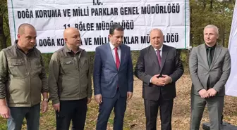 Ünye'de Kahverengi Kokarca ile Mücadele İçin 200 Sülün Bırakıldı