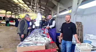 Kütahya Hisarcık'ta Balık Fiyatları Düşüşte: Hamsi ve Sardalya 150 TL'ye Geriledi