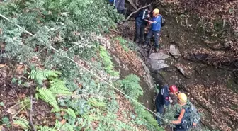Bursa'da Ormanda Mahsur Kalan 4 Kişi Kurtarıldı