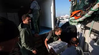 Egeli Balıkçılar Tayfa Bulmakta Zorlanıyor