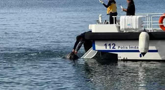 Erdek'te Denizde Ceset Bulundu