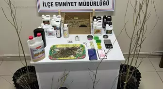 Tekirdağ'da Kenevir Yetiştiren 5 Şüpheli Yakalandı