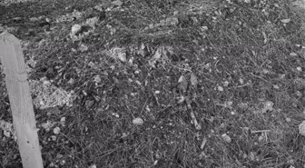 'Hastane servis odasındaki doğumda doktorun elinden kayan bebek öldü' iddiasına çifte soruşturma