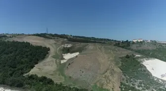 Kocaeli'de 60 Dönüm Alanda 4 Bin 500 Fidan Dikilecek