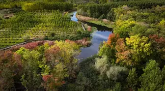 Sonbaharın Renkleri Acarlar Longozu ve Büyük Melen Çayı'nda Yaşanıyor