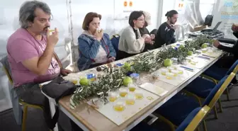 Edremit Zeytinyağı Tadım Festivali'nde Farkındalık Eğitimi