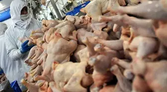 2 bin tondan fazla tavuk eti geri çağrıldı! İçlerinden metal çıktı