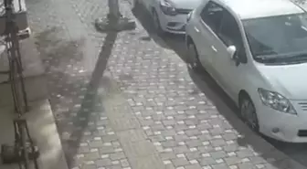 Bursa'da Lodos Yaşamı Olumsuz Etkiliyor