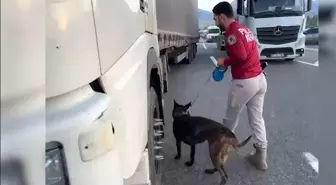 Iğdır'da Kaçakçılık Operasyonu: Binlerce Paket Kaçak Sigara ve Dolandırıcılığa Gözaltılar