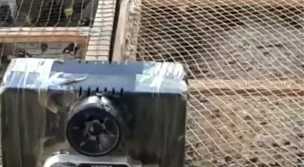 Kahramanmaraş'ta Yasa Dışı Kuş Avcılığına Operasyon