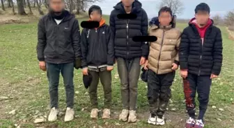Kırklareli'nde 5 Kaçak Göçmen Yakalandı