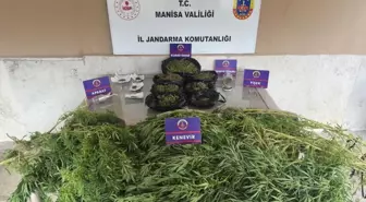 Manisa'da Uyuşturucu Operasyonu: 14 Gözaltı, 11 Tutuklama