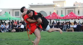 Nizip'te Cumhuriyet Bayramı Coşkusuyla Aşırtmalı Aba Güreşleri Yapıldı
