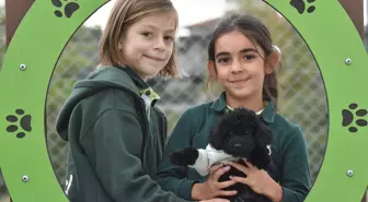 Sakarya'da 'Can Dostlar Parkı' Açıldı