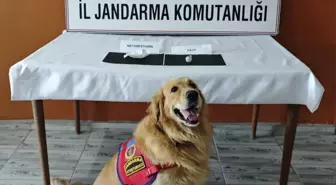 Şırnak'ta Kaçakçılık Operasyonları: 87 Şüpheli Yakalandı