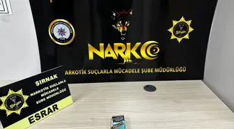 Şırnak'ta Narkotik ve Kaçakçılık Operasyonları: 111 Gözaltı, 5 Tutuklama