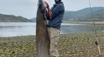 İnegöl'de Kuraklık, Amatör Balıkçıları Dev Yayın Balıkları ile Buluşturdu