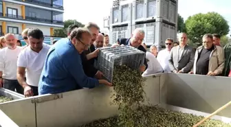 Edremit'te Zeytinyağı Tadım Festivali: Kültür ve Bilinçli Tüketimin Önemi