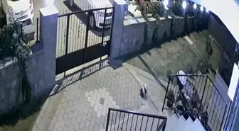 Tuğba Yavaş'ın şüpheli ölümüyle ilgili davada psikiyatri doktoru: 'İntihar eğilimi gözlemlemedik'