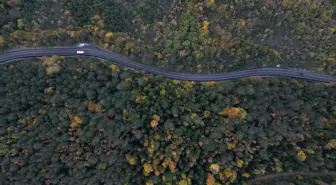 Bartın-Karabük Yolunda Sonbahar Güzellikleri