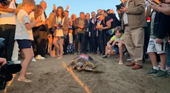 Bakım Altındaki Caretta Caretta 'Cumhuriyet', 500 Kilometre Yol Katetti