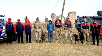 Kaybolan Genç Kadın Jandarma Tarafından Bulundu