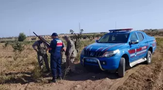 Gaziantep'te İzinsiz Avlanan Şahıs Hakkında İdari İşlem Yapıldı