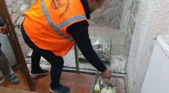 Kırşehir'de Depoda Yasa Dışı 66 Yabani Kuş Ele Geçirildi