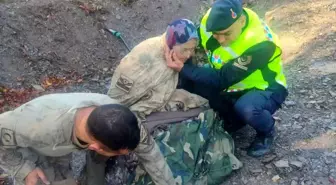 87 Yaşındaki Kadın Kuşburnu Toplarken Kayboldu, 20 Saat Sonra Bulundu