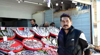 Bilecik'te Balık Sezonu Yoğun İlgiyle Başladı