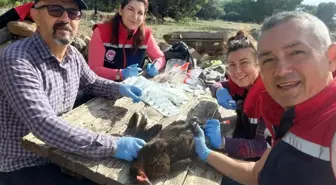 Söke'de Kuş Gribi Saha Taraması Yapıldı