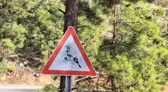 Mersin Bozyazı'da Trafik Levhaları Kurşunlandı