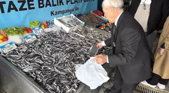 Hamsi Fiyatları Düşüyor, Balıkçılara Akın Var