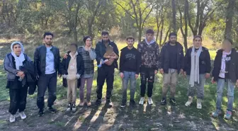 Edirne'de 23 Kaçak Göçmen Yakalandı