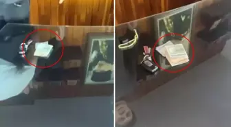 Eski Kemer Belediye Başkanı'na suçüstü: Rüşvet iddiasıyla gözaltında