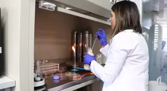 Prof. Dr. Gonca Alak'ın Beslenme Torbasında Renk Sensörü İnovasyonu Tescillendi