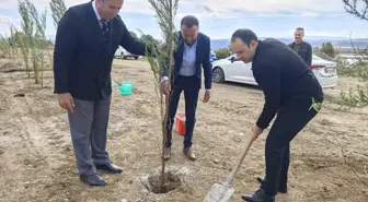 Gölova'da Yürüyüş Yolu Projesi Devam Ediyor