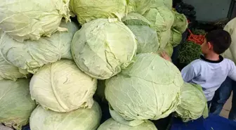 Muş Lahanaları Kulp'ta Tezgahları Süslüyor