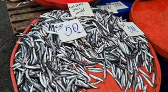 Tekirdağ'da Hamsi Fiyatları 50 Liraya Düştü