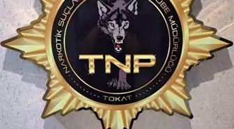 Tokat'ta Narkotik Operasyonu: 500 İçimlik Bonzai Ele Geçirildi