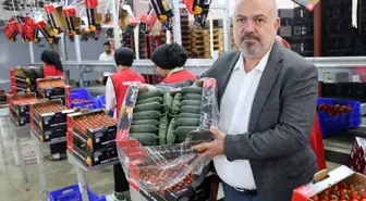 Ukrayna'nın 'domates' ve 'dikenli salatalık' kararı için çözüm çağrısı