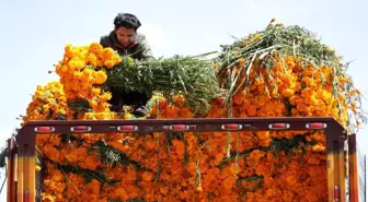 Meksiko'da Ölüler Günü Kutlamalarında Kadife Çiçeği ve Bal Kabakları Satışında Artış