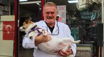 Veteriner Hekimlerden Bilinçsiz İlaç Kullanımına Uyarı